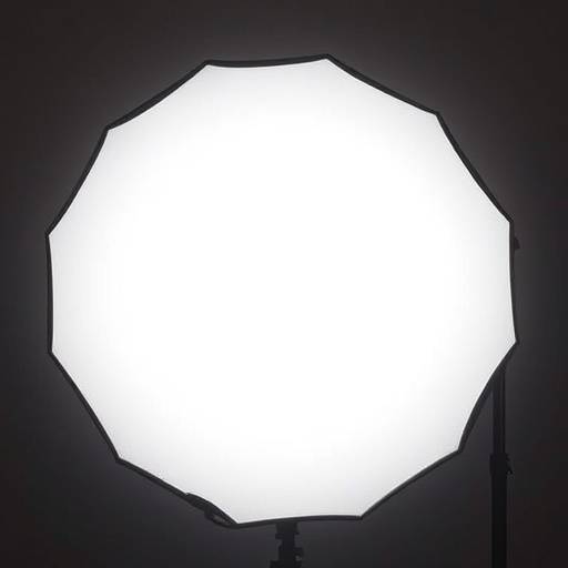 22-inch beauty dish light modifier